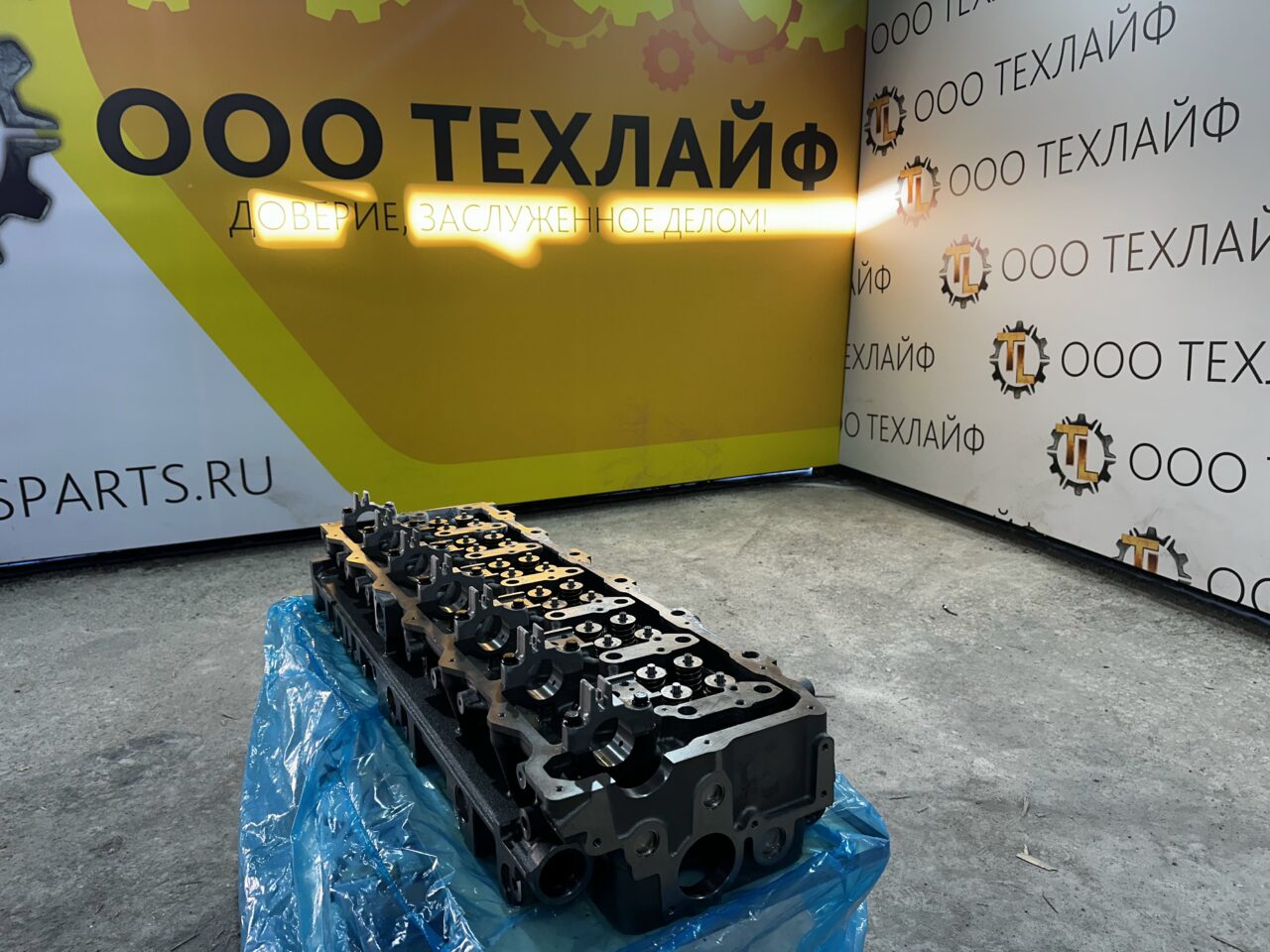 Головка блока цилиндров MAN D2066 в сборе с клапанами